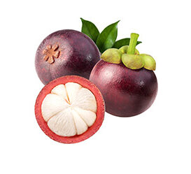 Mangostan