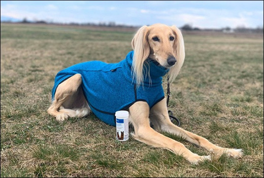 SALUKI stosuje i POLECA