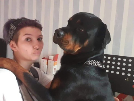 BARNEY 17-miesięczny samiec rasy rottweiler