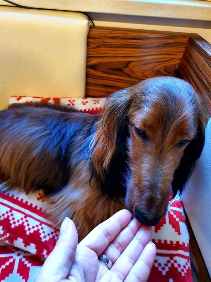 Archiwa DOGOmilk DOGOteka Polska