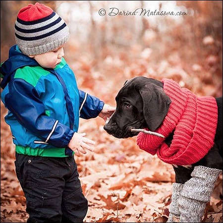 Dog Niemiecki, wł. Svetlana z Kijowa