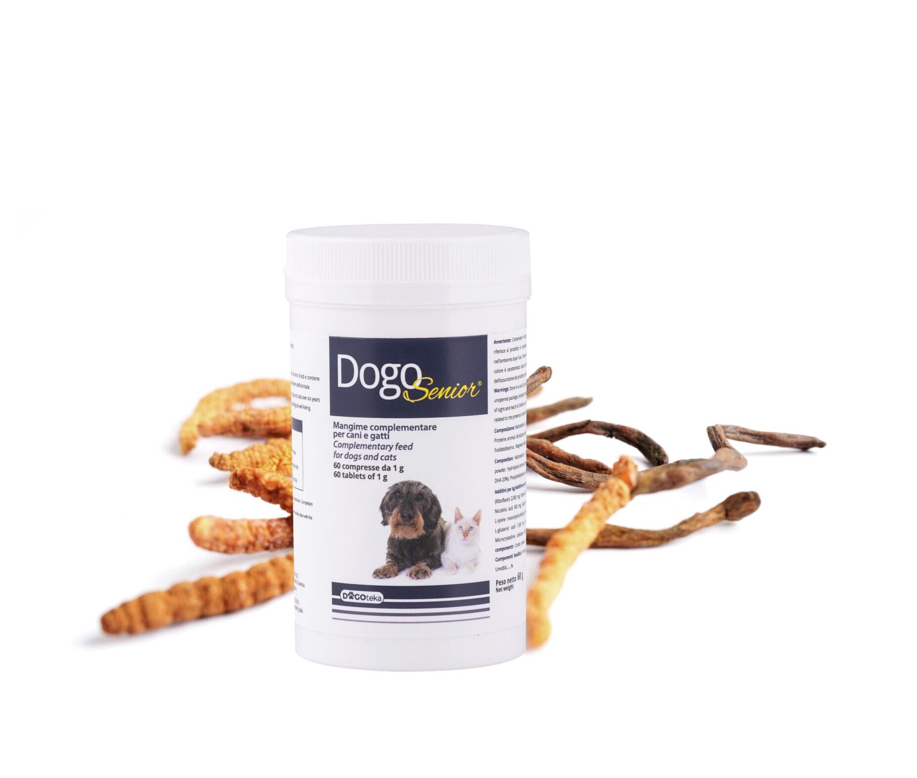 DOGOsenior