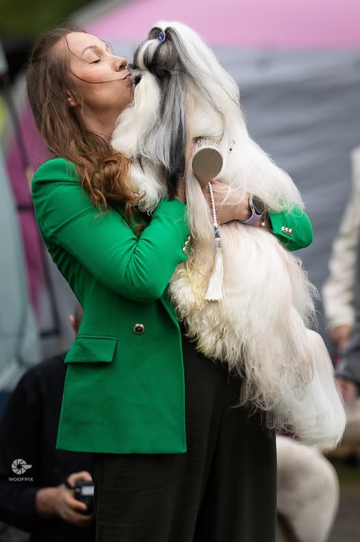 Azzurro Dolce Segreto – Zwycięzca Polski 2025 stosuje i poleca