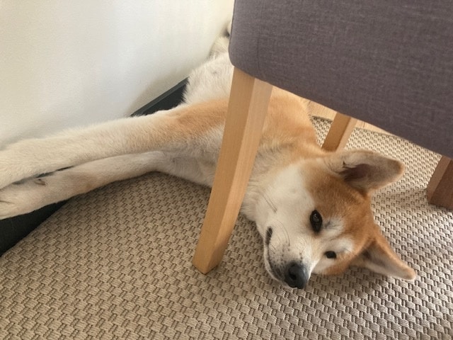 Osłabienie organizmu – wsparcie energetyczne