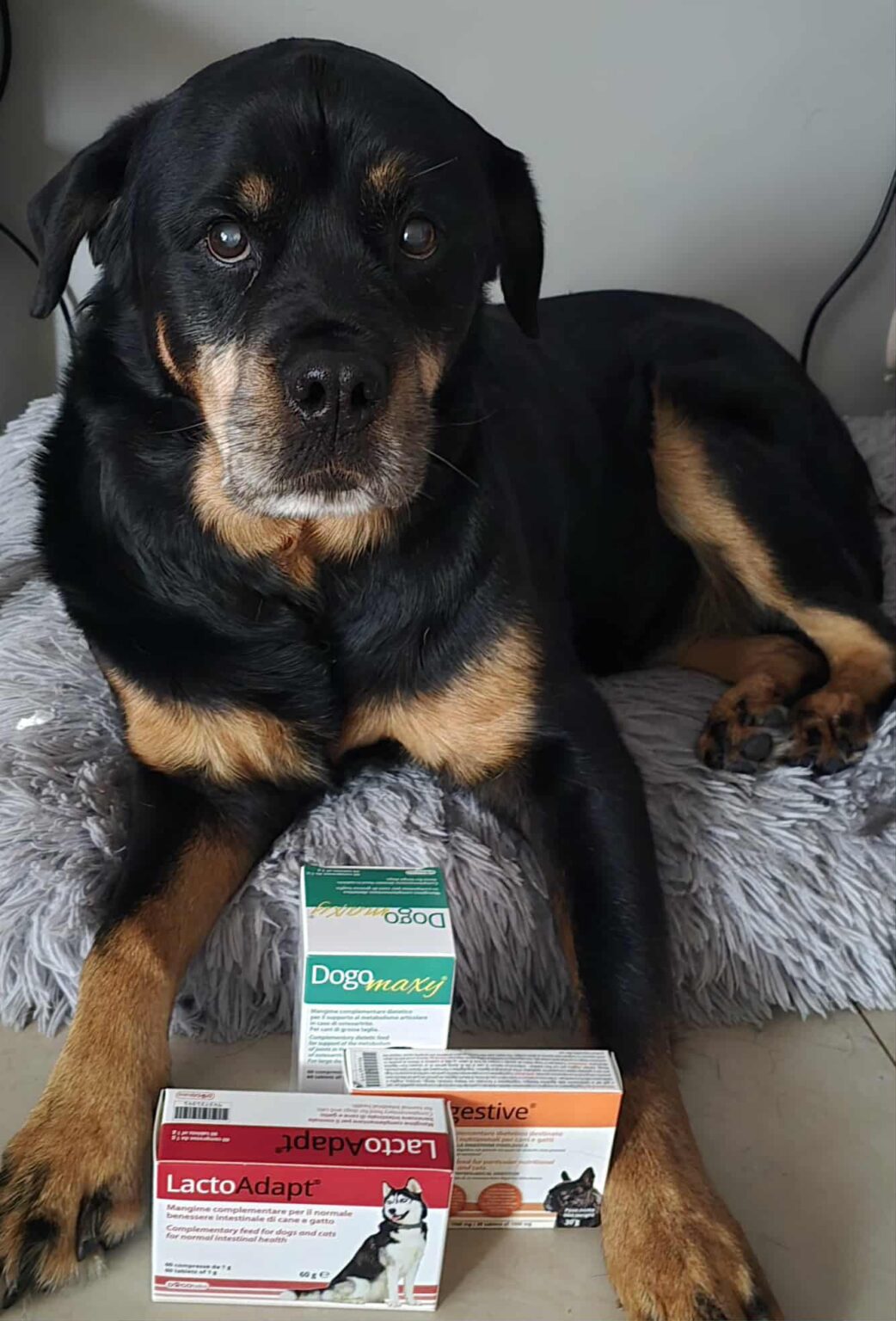 Stowarzyszenie ROTT.PL stosuje i poleca