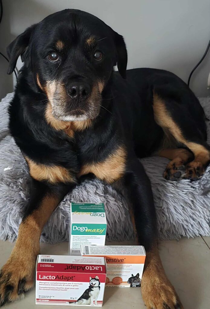 Stowarzyszenie ROTT.PL stosuje i poleca